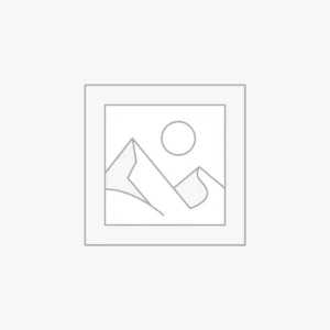 Fusce congue cursus metus